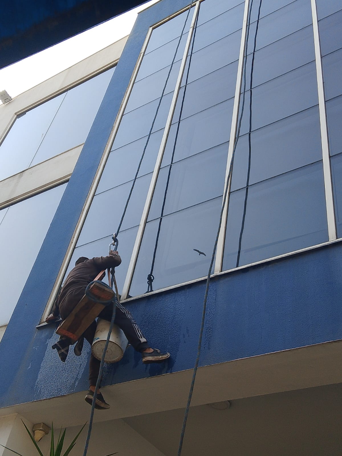 Heighted Mirrors Cleaning